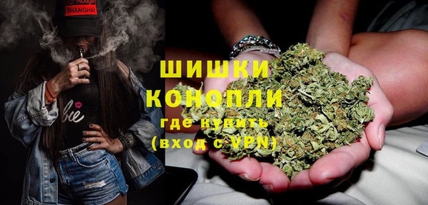 сатива Пестово