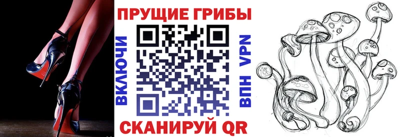 Псилоцибиновые грибы Cubensis  Новый Оскол 